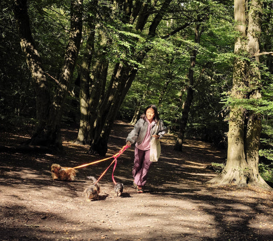 A walk for every stage of your dog’s life