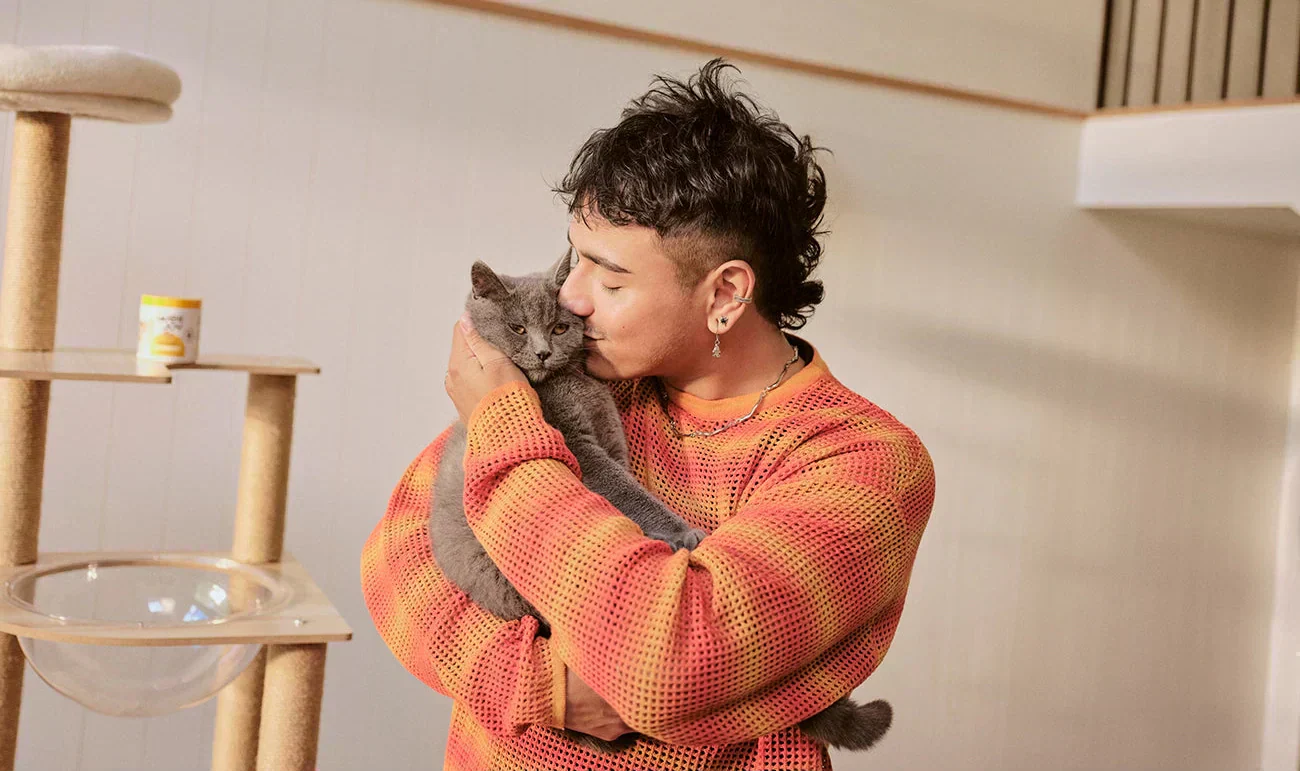 Cat Joy 101: Getting ready for a new kitten