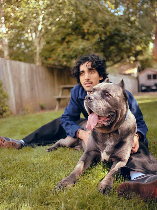 How can I ease my dog’s joints?