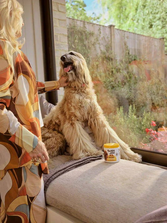 How to boost your pet's immunity