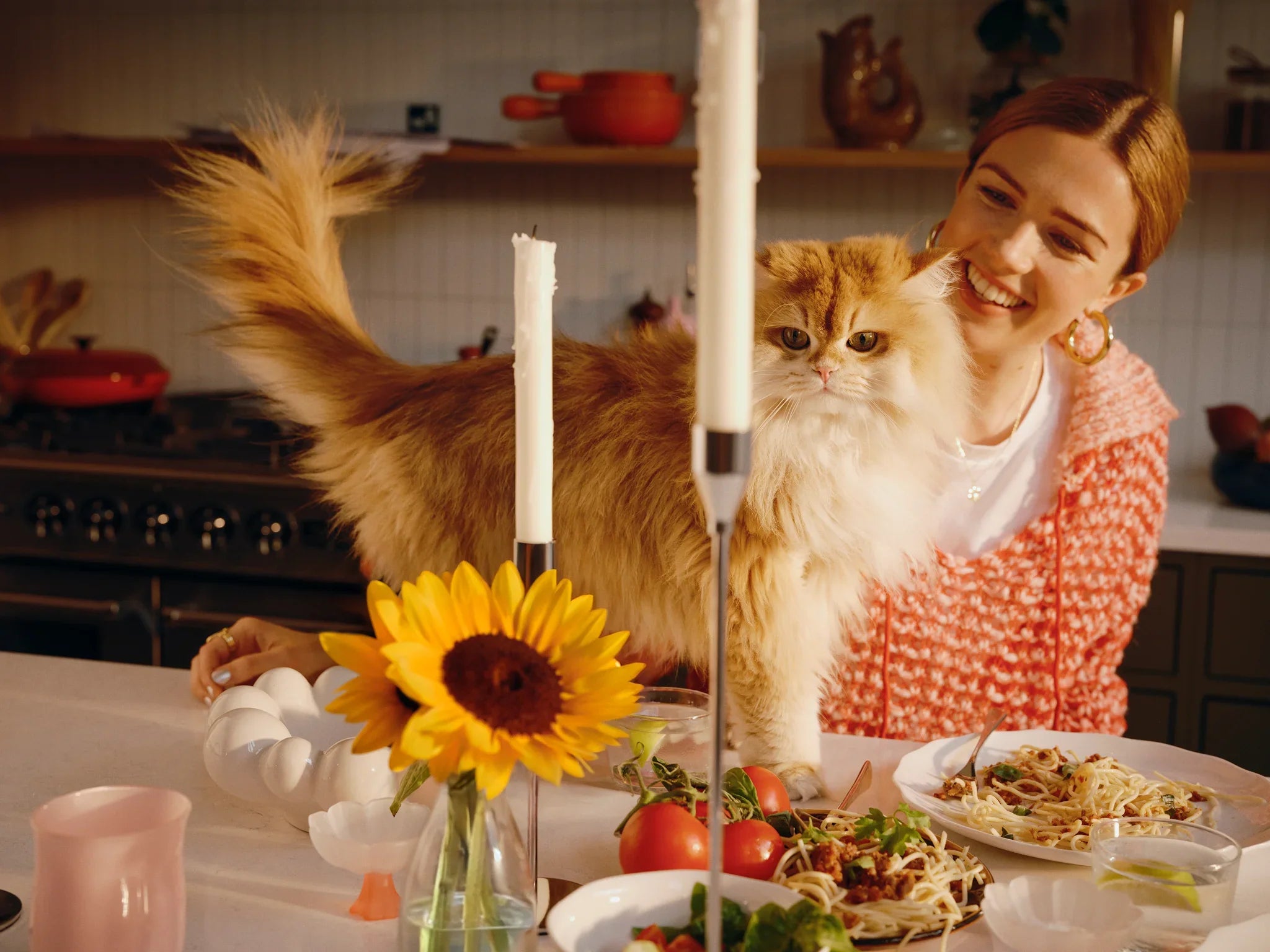 How do I best care for my pet and their allergies?