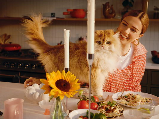 How do I best care for my pet and their allergies?