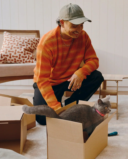 A guide to pet-safe spring cleaning