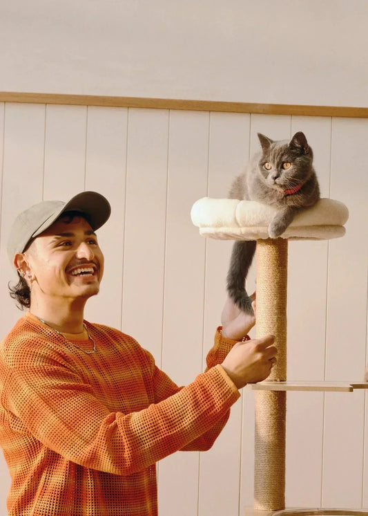 Supporting pets during & after antibiotics