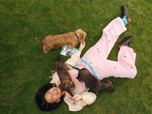 Dog Joy 101: How do I make my backyard the best place for my dog?