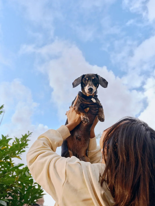 Good Gut Instinct: our gut health mini manual