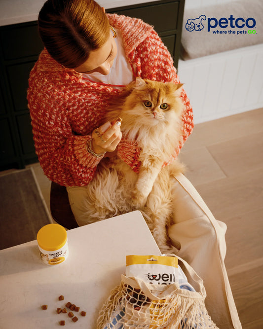 How to set up your cat’s supplement routine for success