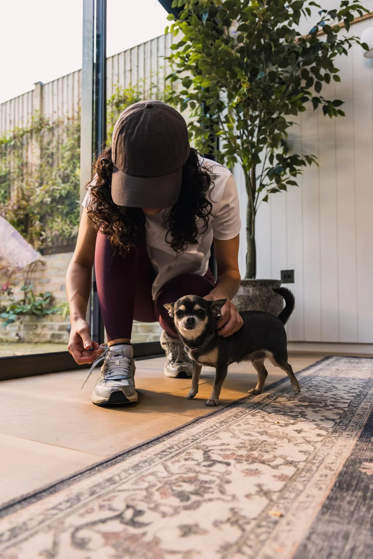 How can I responsibly exercise with my dog - and what about cats?