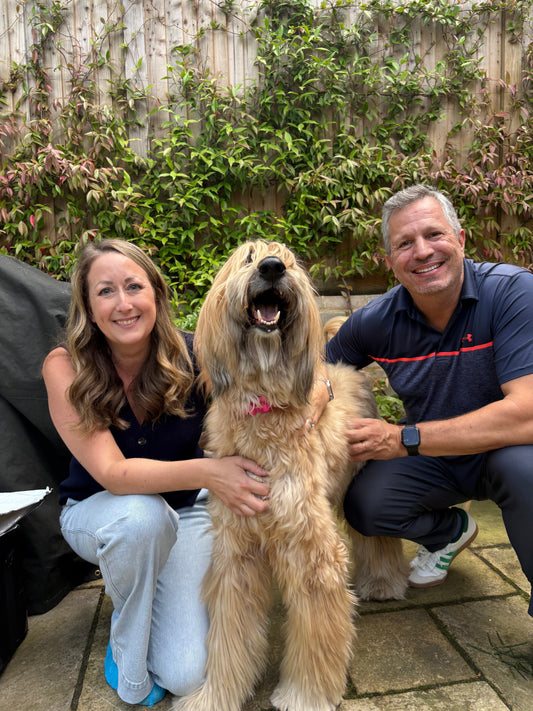 WellJoy IRL: On-Set with Pets and Pet Loyalists