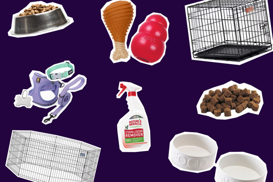 Dog Joy 101: Getting ready for a new puppy