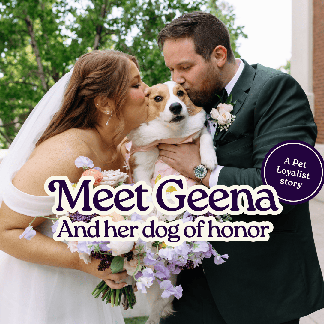 “We needed Olive to be at our wedding”: a Pet Loyalist story