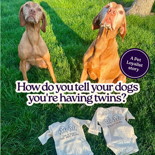 Two dogs, two babies: a Pet Loyalist story