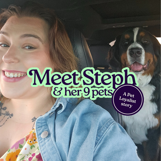 “I have eight dogs and one cat”: a Pet Loyalist story