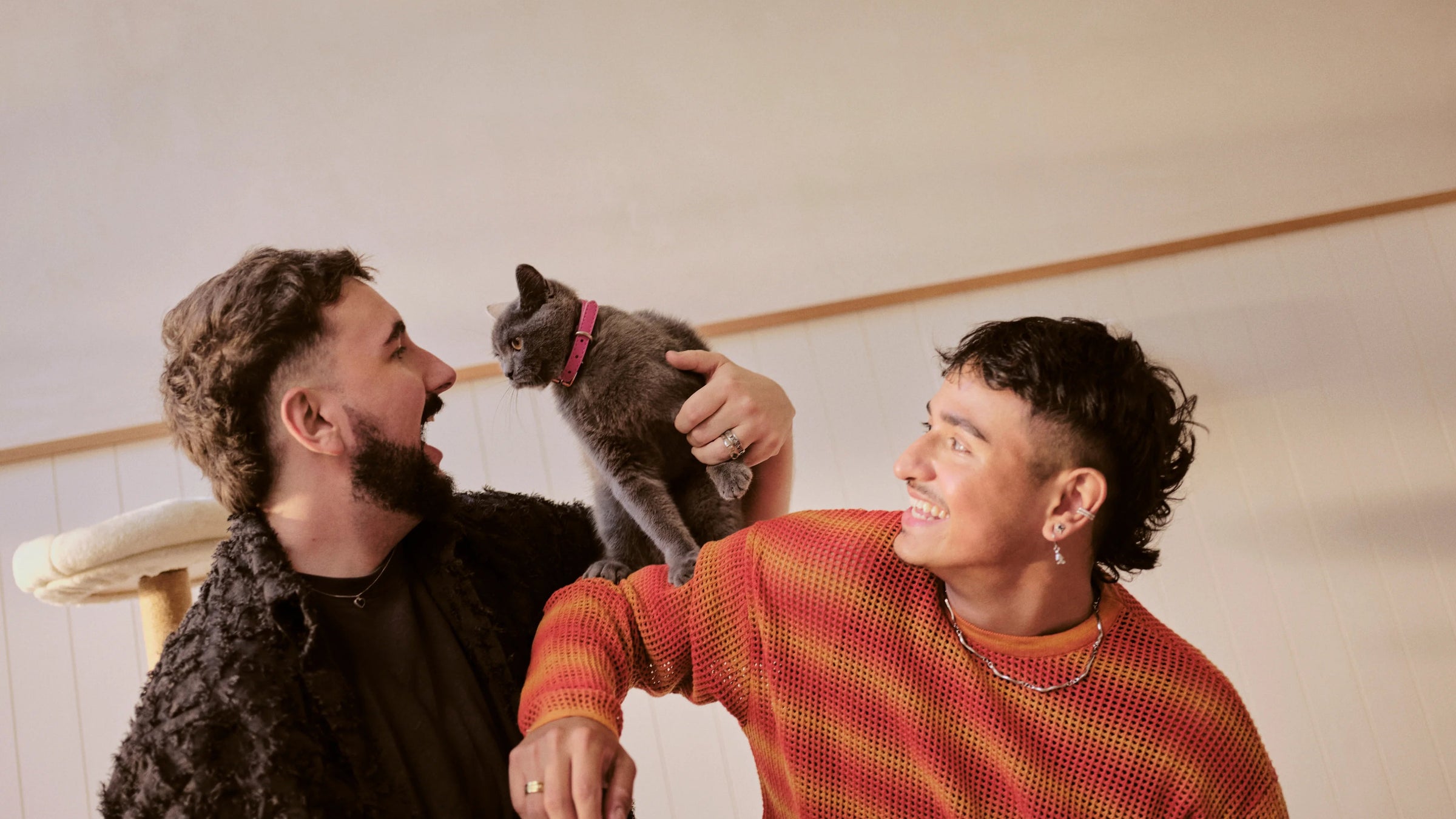 Dual-Benefit pet treats & supplements to boost wellbeing — and joy.