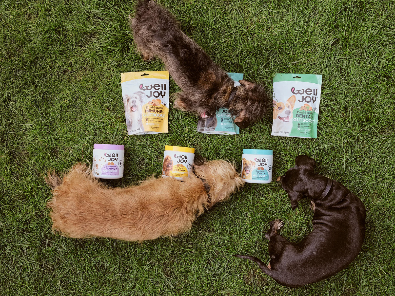 Find out which WellJoy® best suits your pet