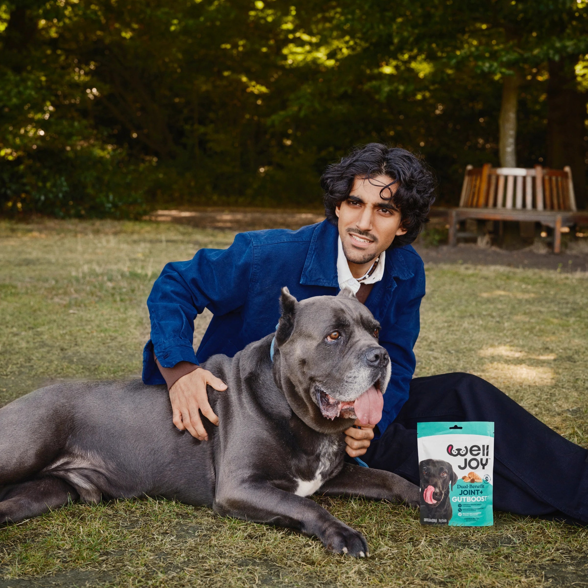 Are you a Dog Loyalist?