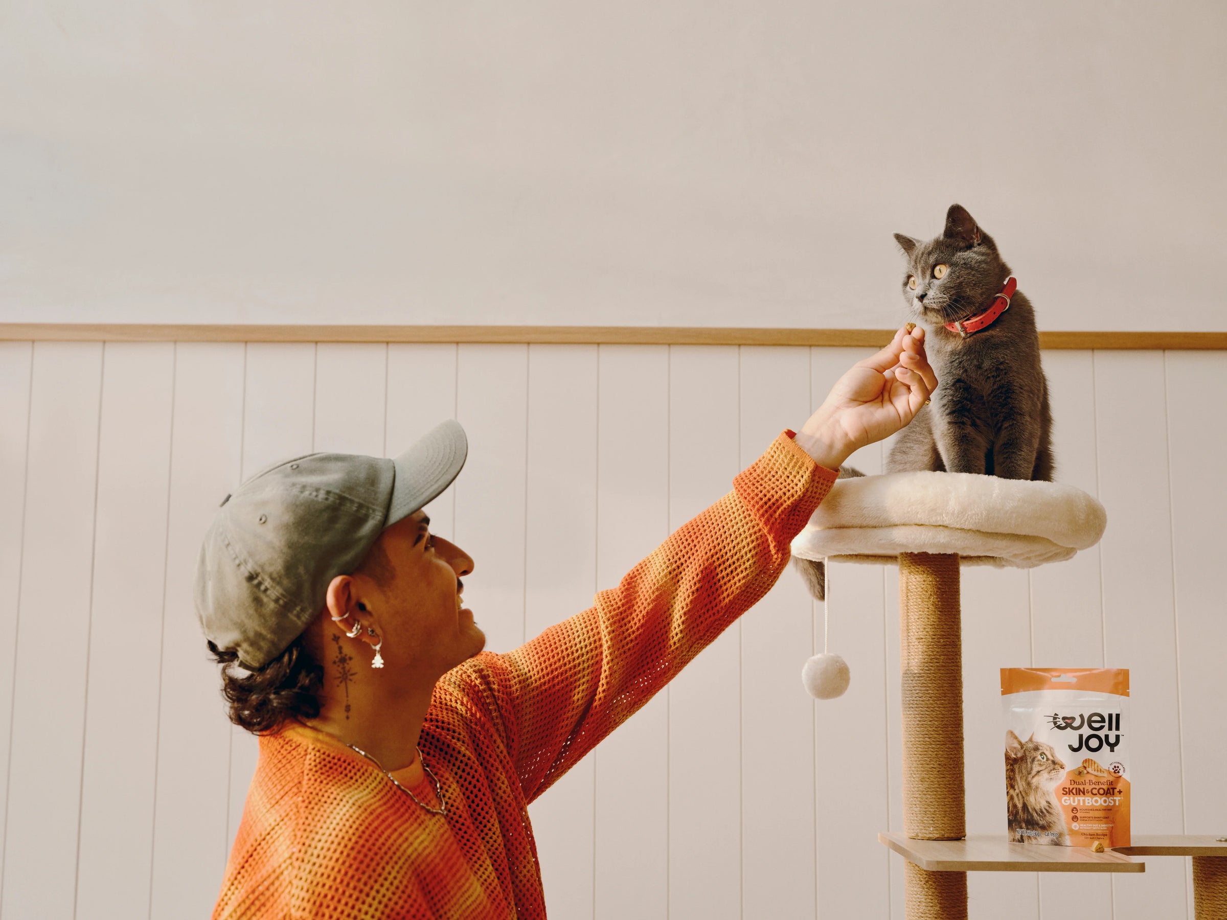 Cat wellbeing that goes further