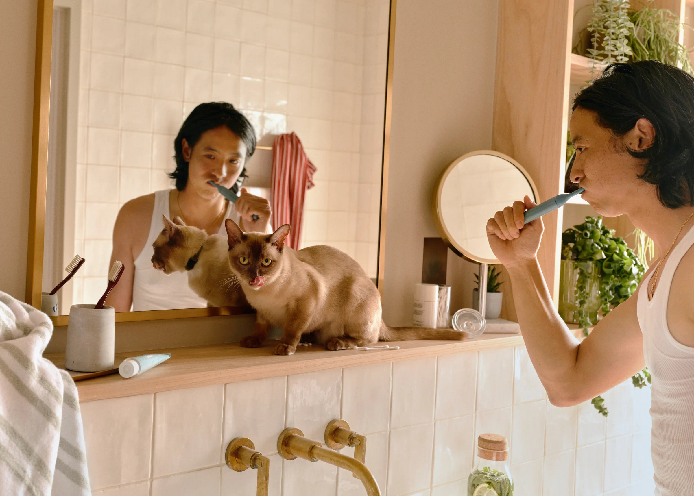 Dental care that works from the inside out