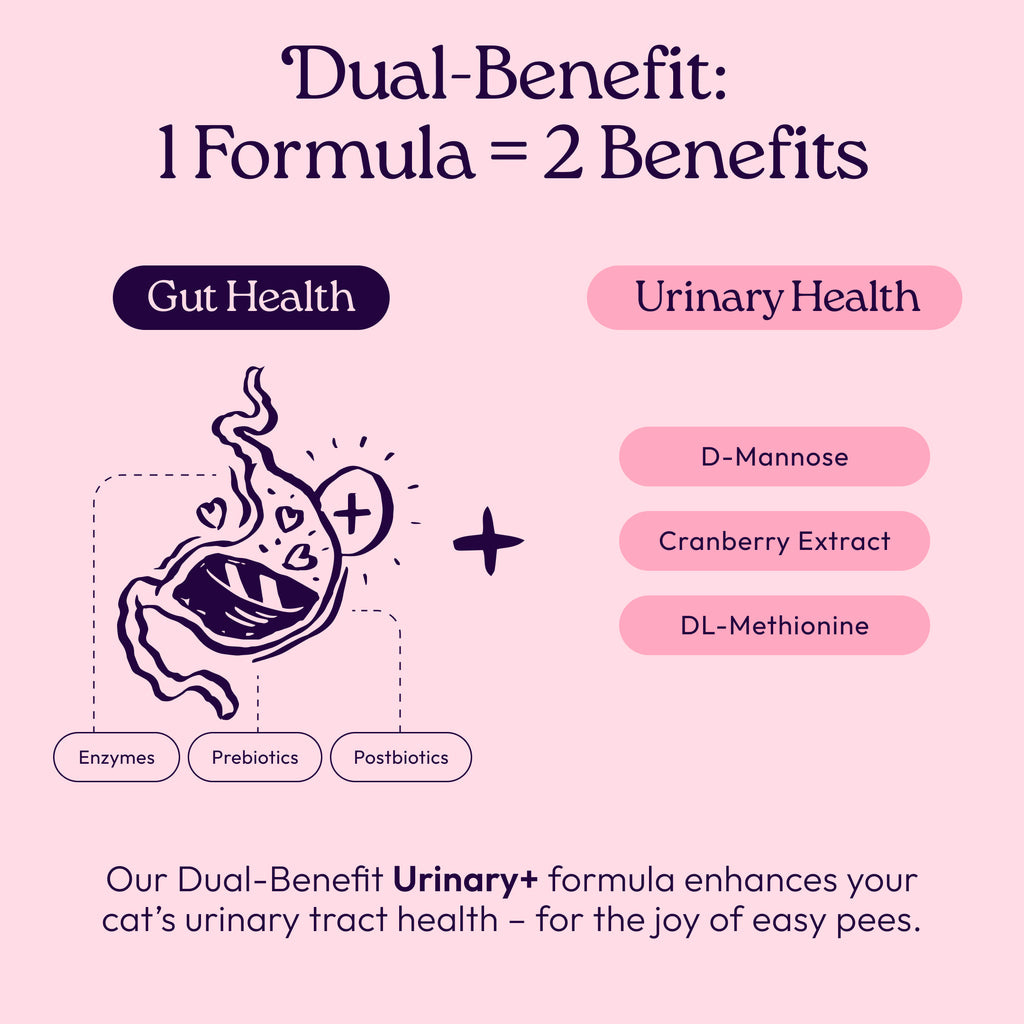 Urinary+ Supplements for Cats