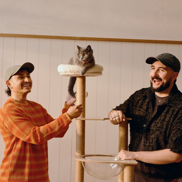 Are you a Cat Loyalist?