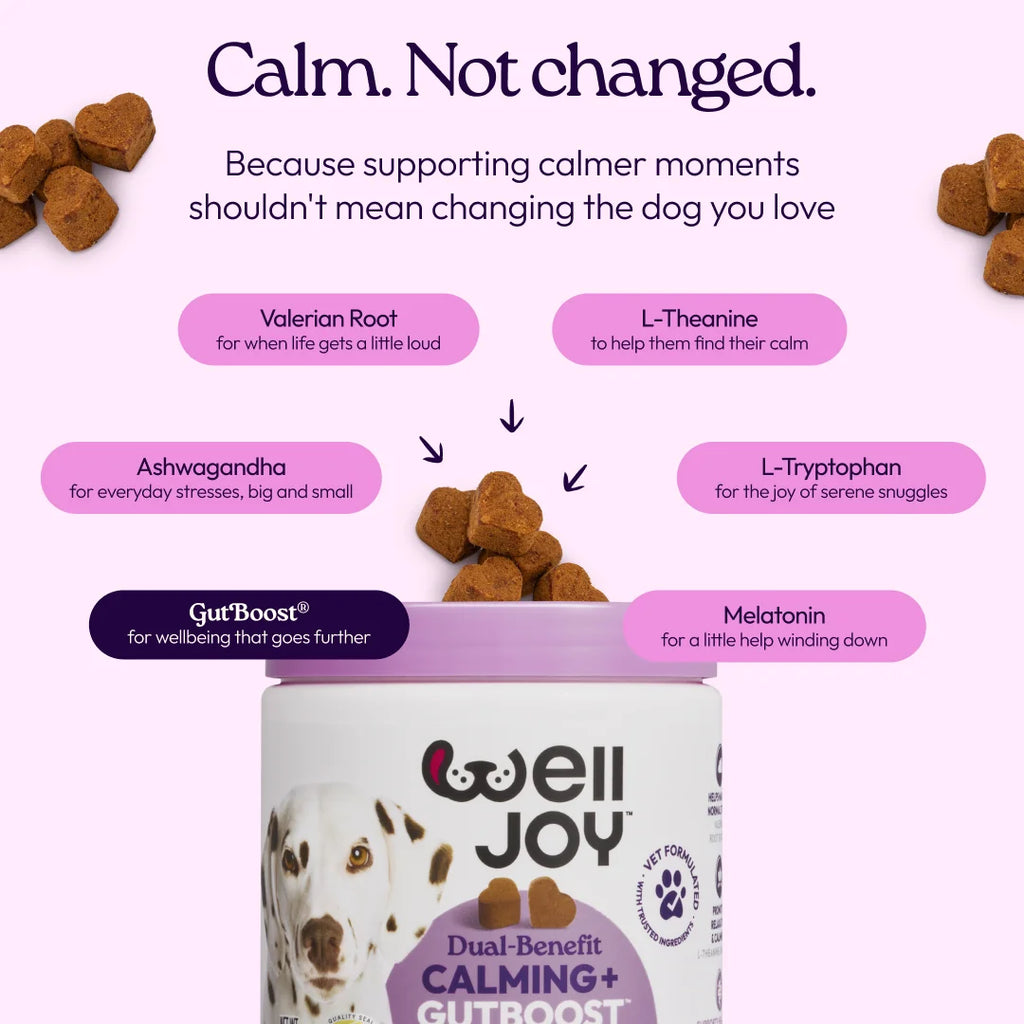 Calming+ Supplements for Dogs