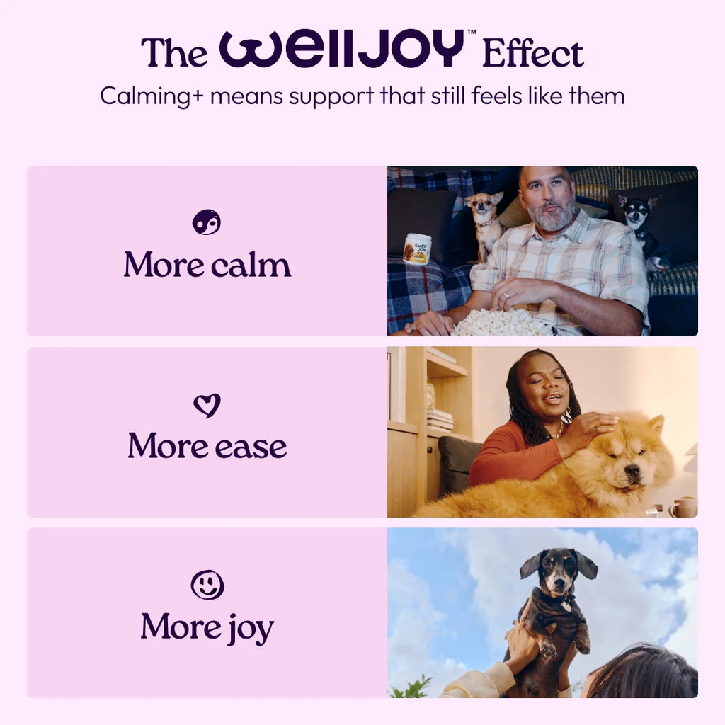 Calming+ Supplements for Dogs