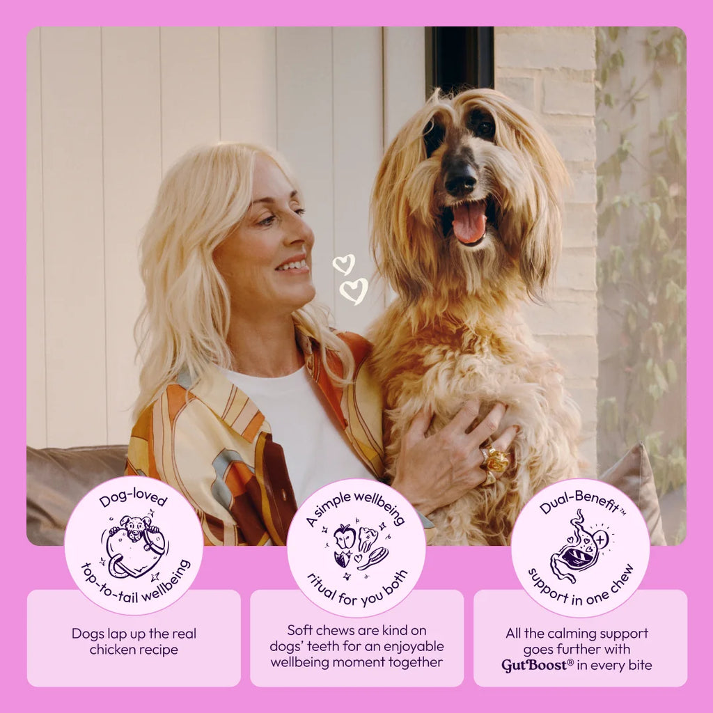 Calming+ Supplements for Dogs