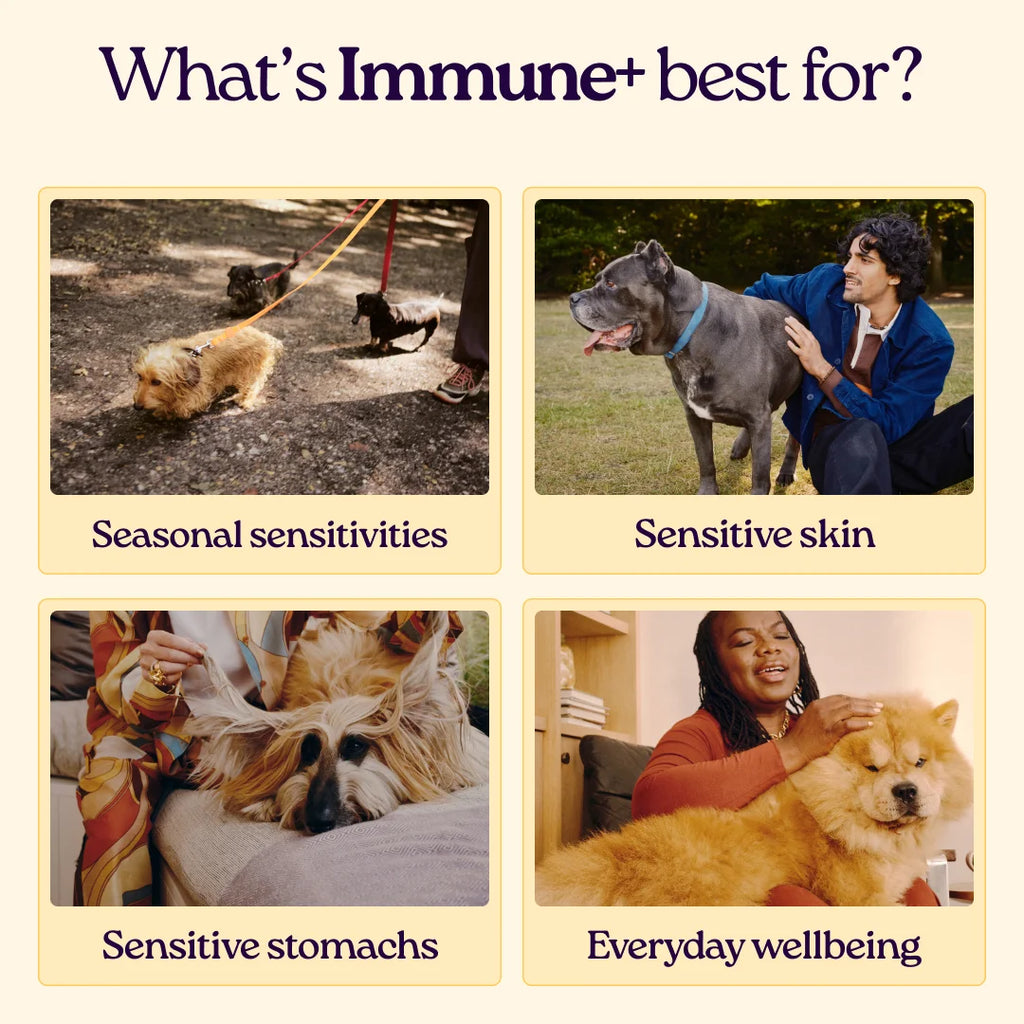 Immune+ Supplements