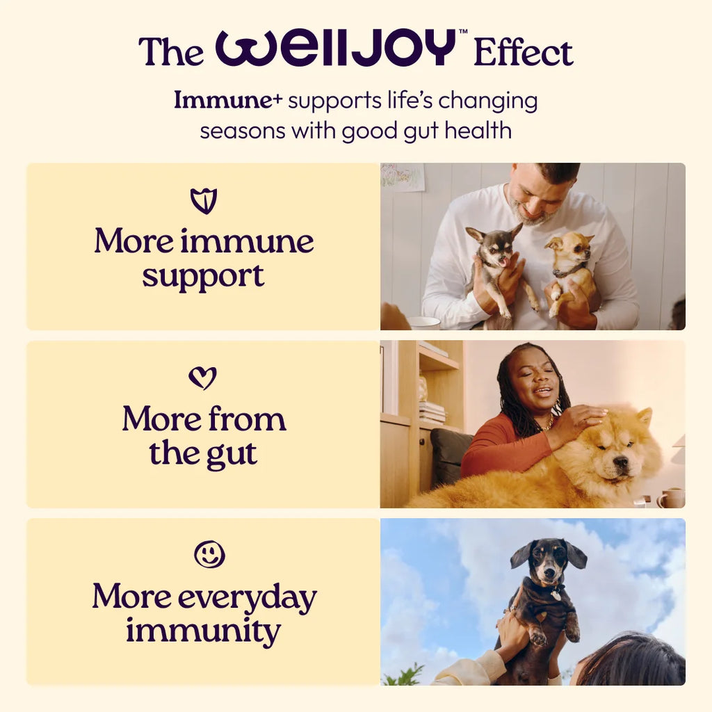 Immune+ Supplements