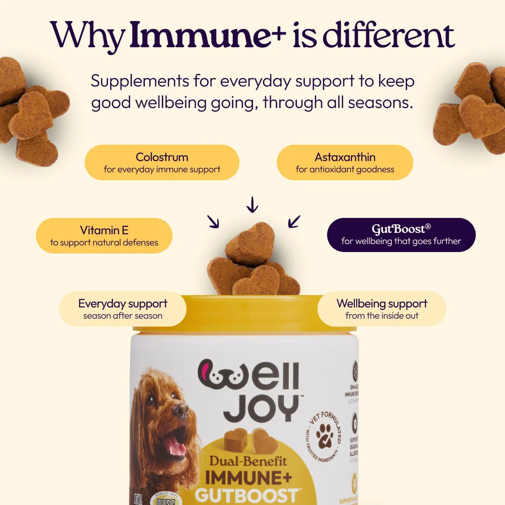 Immune+ Supplements