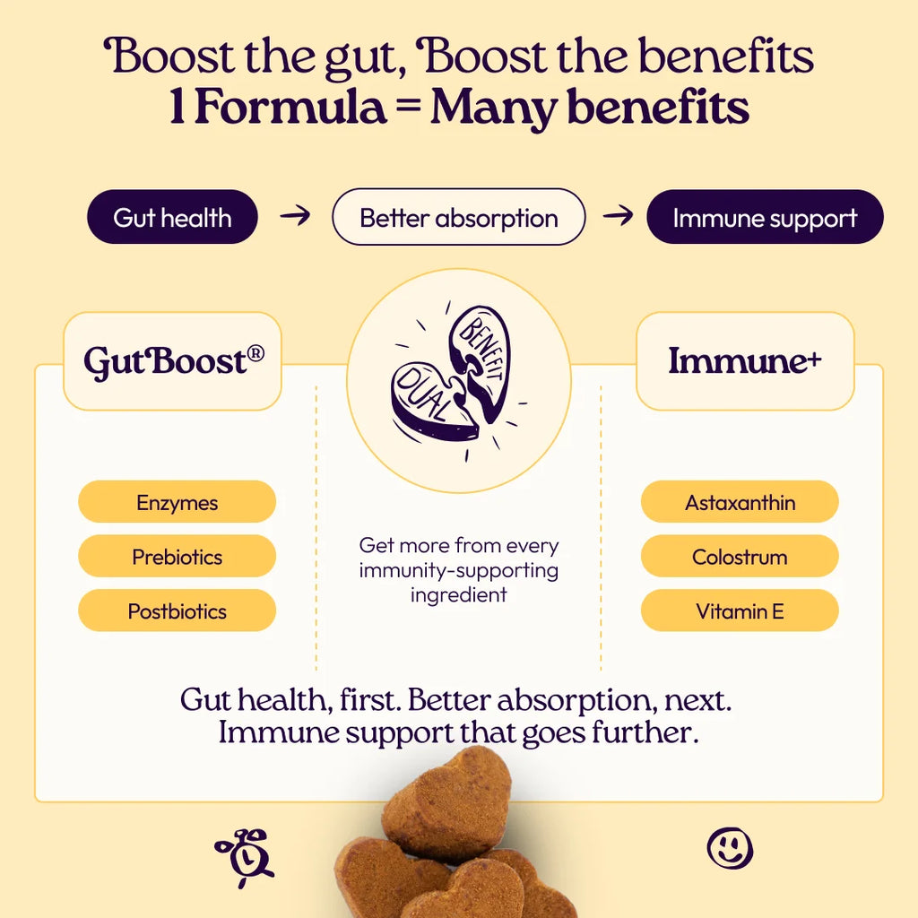 Immune+ Supplements