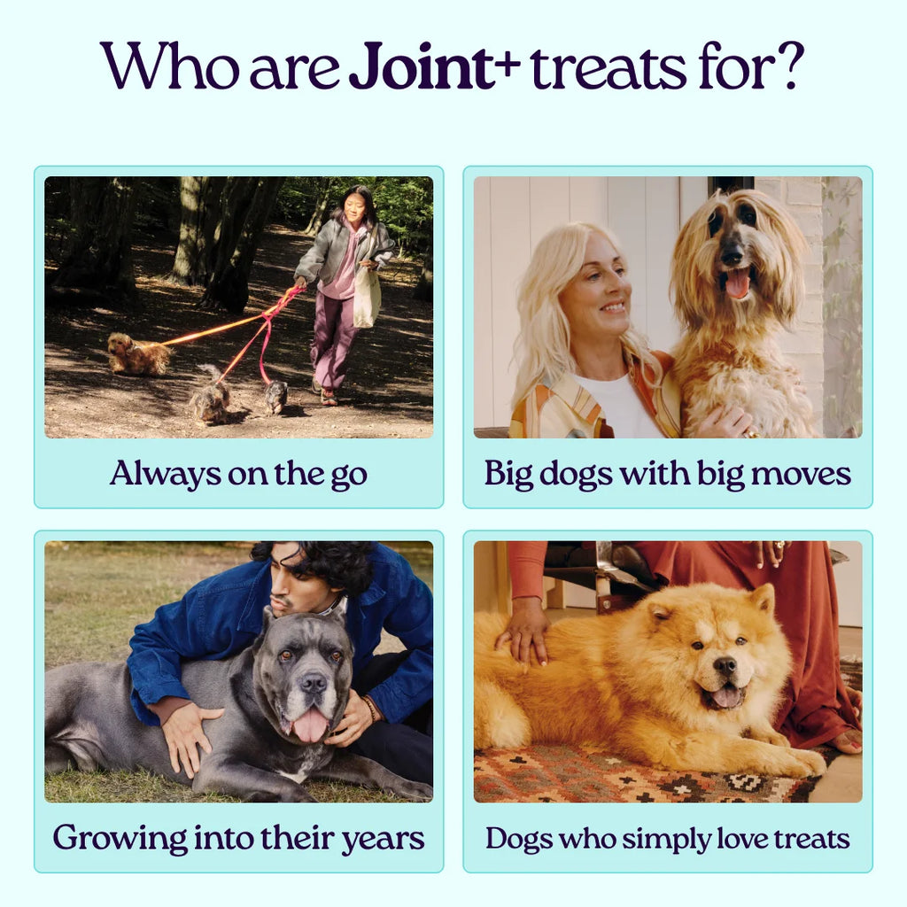 Joint+ Treats