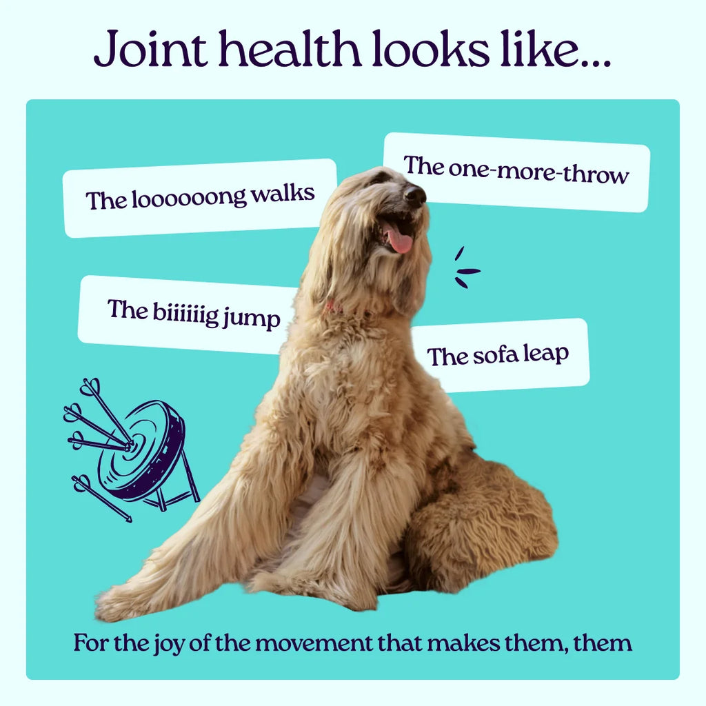 Joint+ Treats