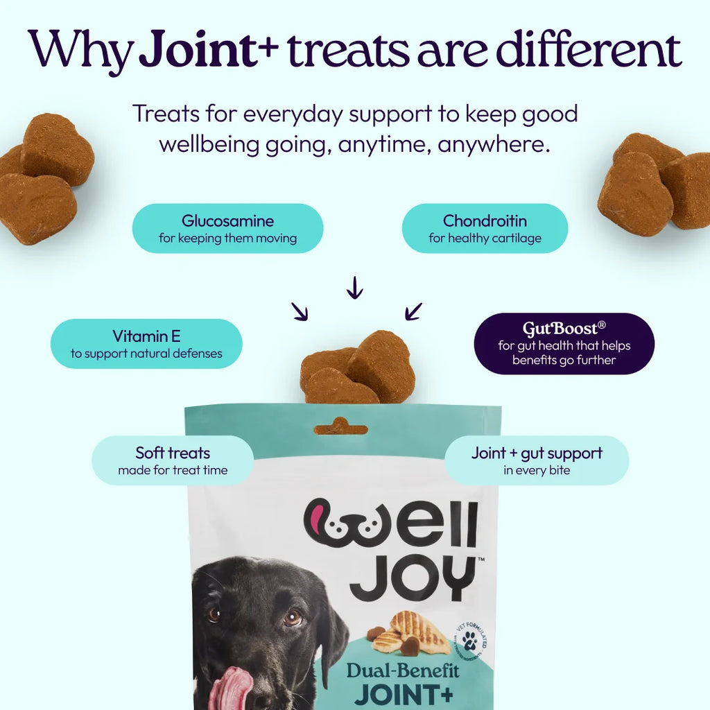 Joint+ Treats