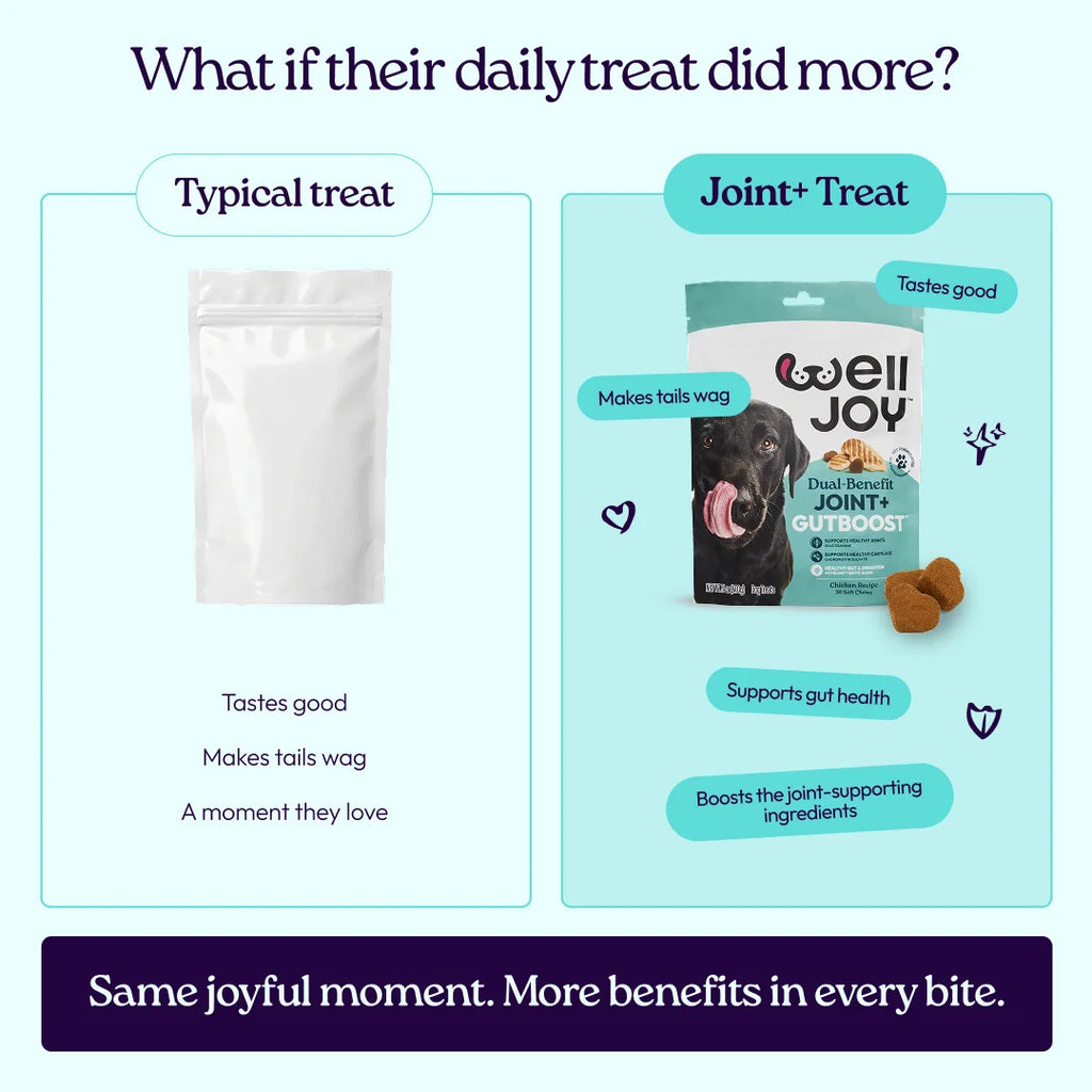 Joint+ Treats